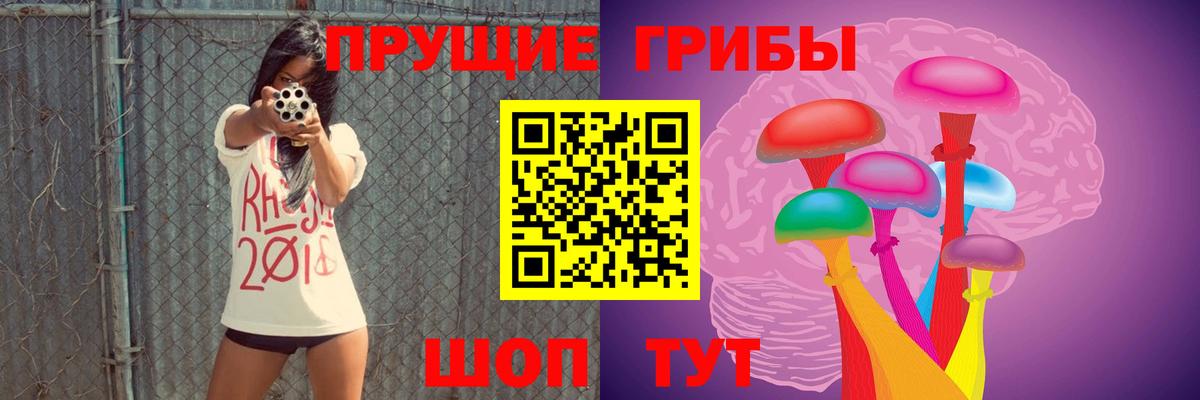 Галлюциногенные грибы MAGIC MUSHROOMS  Вход с VPN  Псилоцибиновые грибы Psilocybe  Вольск 